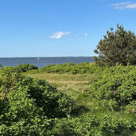 8 Person In Tarm-by Traum * Tarm